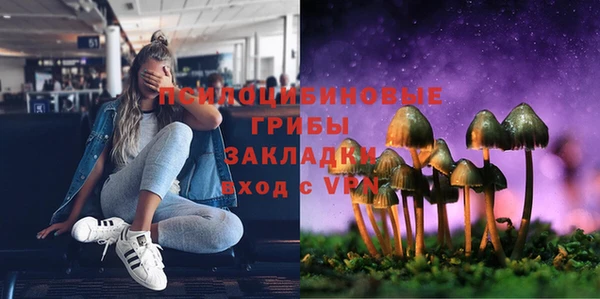 MDMA Няндома